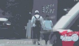 最新情侣爆料视频,浪漫细节引网友热议