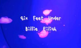 碧梨最新爆料消息视频播放,惊人内幕大公开！