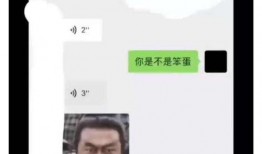 刘大锤最新爆料翟潇闻