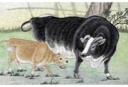 最新版本大爆料牛气冲天,牛气冲天，揭秘科技巨头新动向